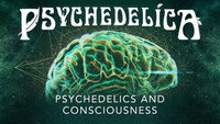 Psychedelics and Consciousness