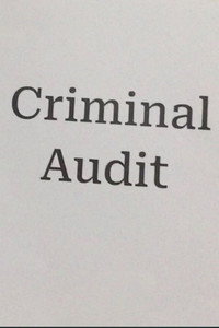 Criminal Audit (2026) poster