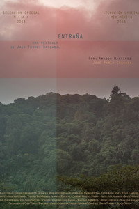 Постер к фильму Entraña (2017)