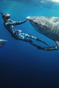 movie-images