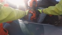 Volunteer