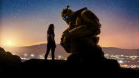 Bumblebee