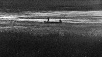 Обои к фильму «Страх (1966)» — (11 из 41)