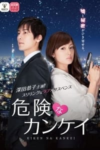 危険なカンケイ (2013)