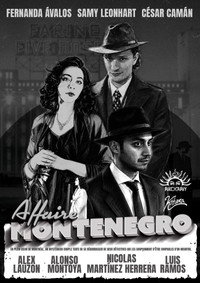Affaire Montenegro