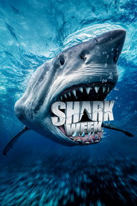 Постер сериала «Акула (2010)» — (7 из 44)