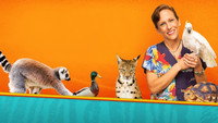 «Dr K's Exotic Animal ER (2014)» — обои к сериалу #1