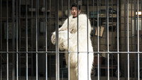 Обои к фильму «Тайный зоопарк (2019)» — (21 из 42)