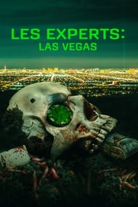 Poster de Les Experts : Las Vegas