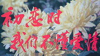 «Chu lian shi, wo men bu dong ai qing (1987)» — обои к фильму #1