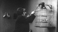 «A Bird's a Bird (1915)» — обои к фильму #1