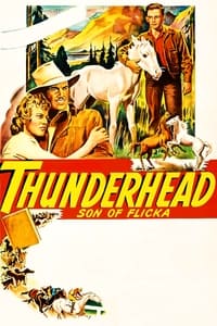 Poster de Thunderhead - Son of Flicka