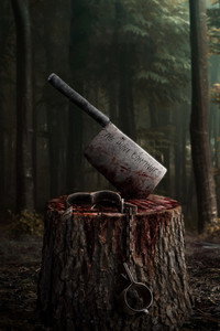 Постер фильма «Мясники, книга вторая: Рагорн (2024)» — (2 из 7)
