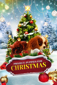 Постер фильма «Project: Puppies for Christmas (2019)» — (2 из 3)