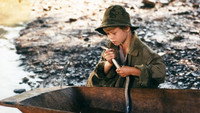 «Золотые угри (1979)» — обои к фильму #1