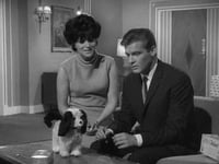 S03E08 - (1964)