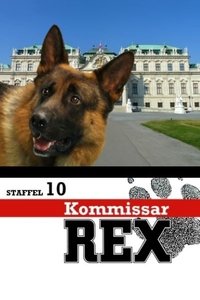 Saison 10