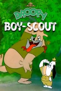 Poster de Un boy-scout émérite