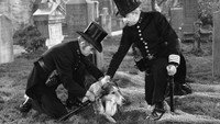 «Вызов Лесси (1949)» — обои к фильму #1