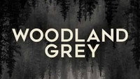 «Woodland Grey (2021)» — обои к фильму #1