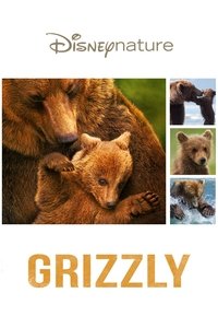 Poster de Grizzly