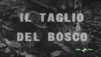 «Лесорубы (1963)» — обои к фильму #1