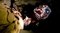 Evil Dead