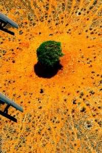 movie-images