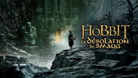 Le Hobbit : La Désolation de Smaug