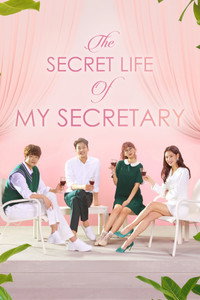 The Secret Life Of My Secretary (2019) Season 1 Hindi ORG. + Multi Audio Complete K-Drama WEB Series 720p 1080p WEB-DL