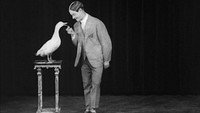 «Гас Виссер и его поющая утка (1925)» — обои к фильму #1