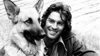 «Run, Joe, Run (1974-1975)» — обои к сериалу #1