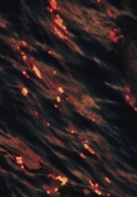 movie-images