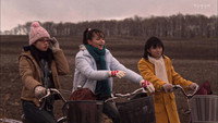 «Simsons (2006)» — обои к фильму #2