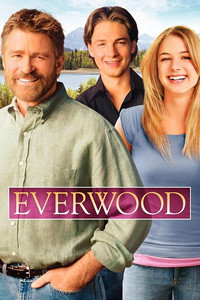 Постер сериала «Любовь вдовца (2002-2006)» — (3 из 34)