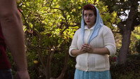 «Худший год в моей жизни (2015)» — обои к фильму #1