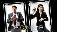 Обои к сериалу «Кости (2005 - 2017)» — (78 из 181)
