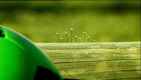 A Rolling Snail Gathers No Moss