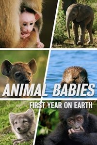 Animal Babies: First Year On Earth - Season 1
