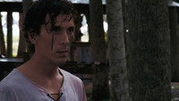 «Calber Island (2024)» — обои к фильму #7