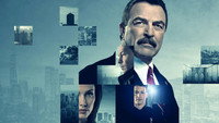 «Голубая кровь (2010 - 2024)» — обои к сериалу #7