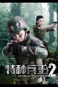 特种兵王2使命抉择 (2017)