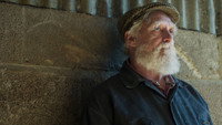 «And Then Come the Nightjars (2023)» — обои к фильму #2