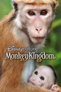 Monkey Kingdom (2015) poster