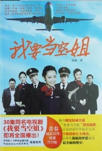 我要当空姐 (2013)