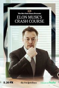 Poster de El accidente de Elon Musk