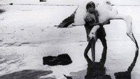 «Молодые Афродиты (1963)» — обои к фильму #2