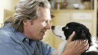A Dog Year