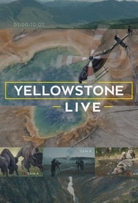 Poster de Yellowstone Live