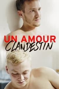 Un amour clandestin (2016)